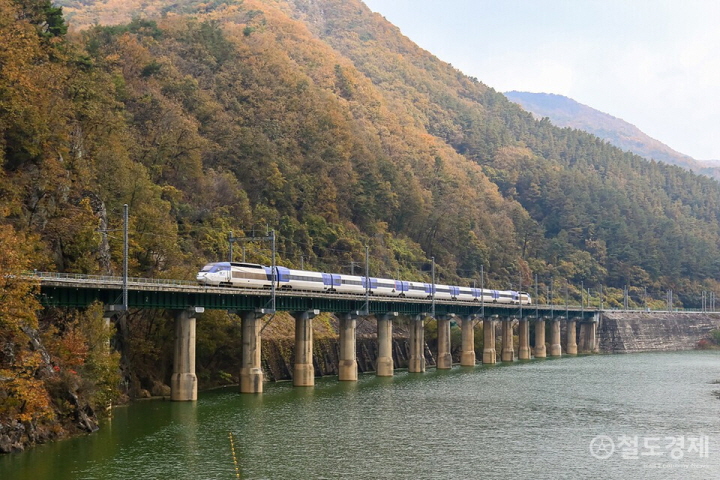 삼탄유원지를 스치는 KTX... 가을빛 제천의 철도 풍경